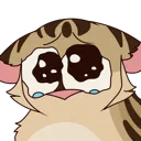 crybabyfennel