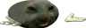 xddShrug