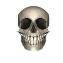 skulldeluxe