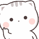 kittyThinking
