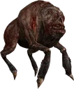 S_Flesh