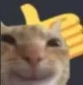 smilecatwiththumbsup
