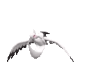 bombirdiershiny