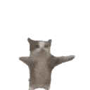 catjam