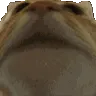 CATYES