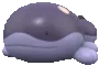 clodsireshiny clodsireshiny