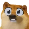 usodog