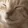 catFP
