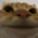 Not Funny not_funny Discord Emoji