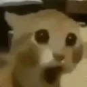 uttershockanddisbelief