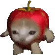 applecat