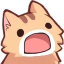 cat_what