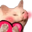 catlove