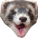 ferretpog3 Discord emoji