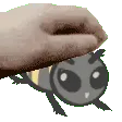 PatBee