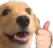 The_ThumbsUpDog Discord emoji
