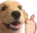 The_ThumbsUpDog