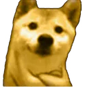 doge