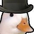 DuckHowdy