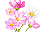 mflowerbunch5