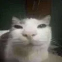 Seirulsy