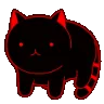 a_cat_spin_roll