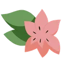 flower_shaymin