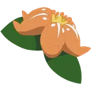 flower_lilligant