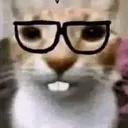 nerd