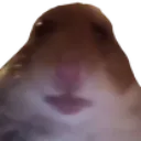 Bruh