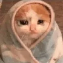 vehnus_cry_again