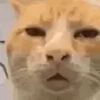 ajzeeHUH