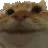 nodnod