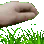 touchgrass