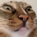 hek