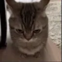angry