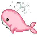 z_AQ_whalepink