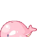 z_AQ_whalepinkheart