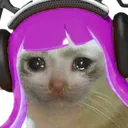 inkling_sadcat