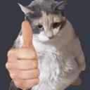 catapproves Discord Emoji