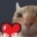catloveheart Discord Emoji