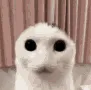 gnida_depression