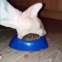 ieateditallbrokenheartemoji