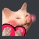 catheart~1 Discord Emoji