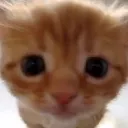Cat_Kyler Cat_Kyler