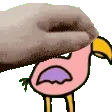 OpilaBirdPet