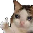 catthumb