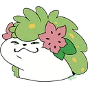 shaysmug