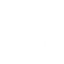 ZN_whiteLogo ZN_whiteLogo