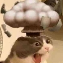 CatMindBlown Discord emoji
